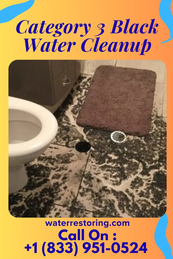Category 3 Black Water Cleanup in Worthing, SD