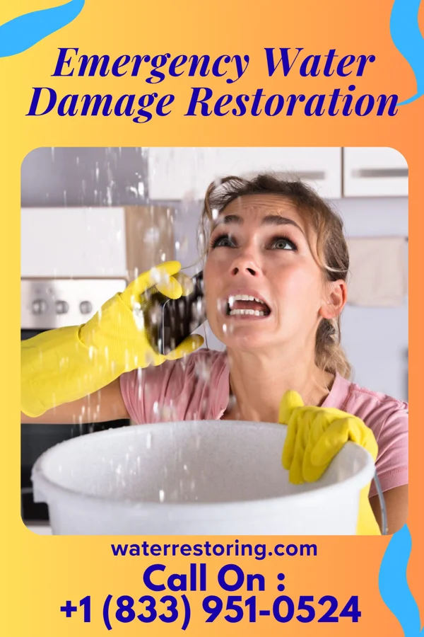 Emergency Water Damage Restoration in Worthing, SD