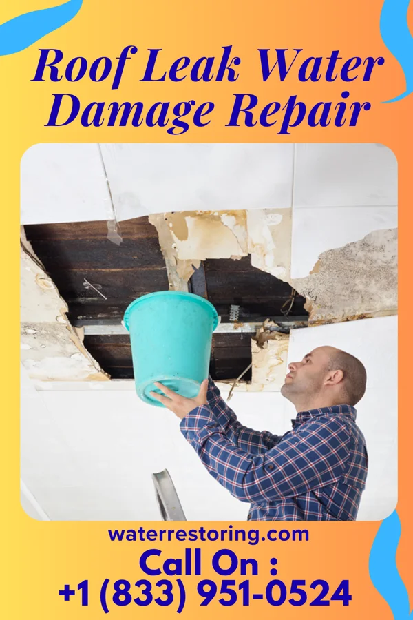 Roof Leak Water Damage Repair in Worthing, SD